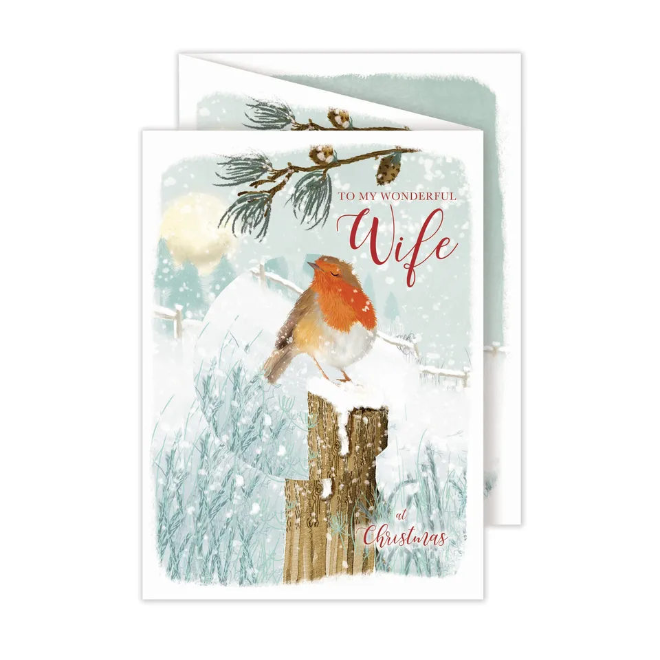 otter-house-wife-robin-weihnachtskarte-rotkehlchen image 1