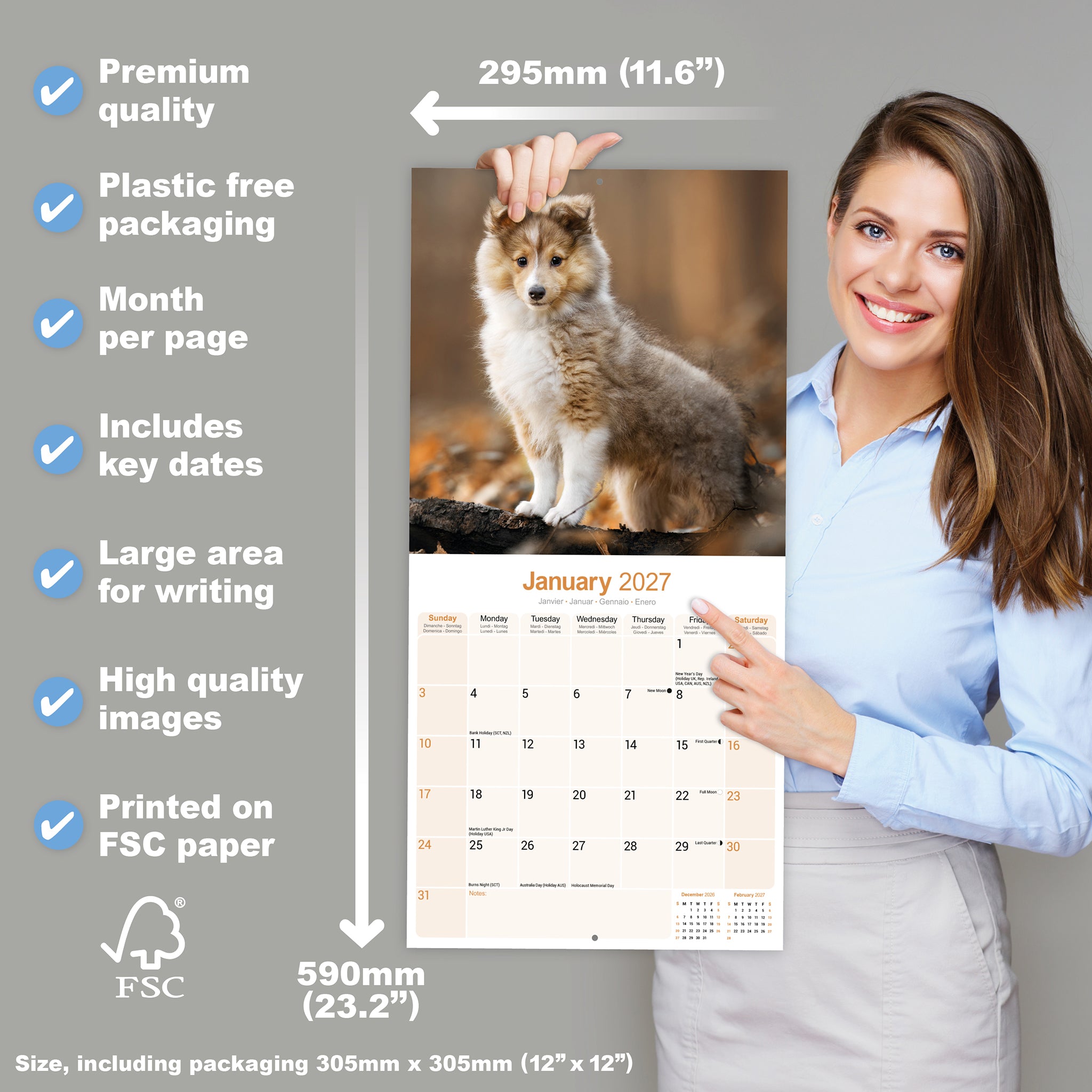 otter-house-shetland-sheepdog-wandkalender-2027-hunde image 4