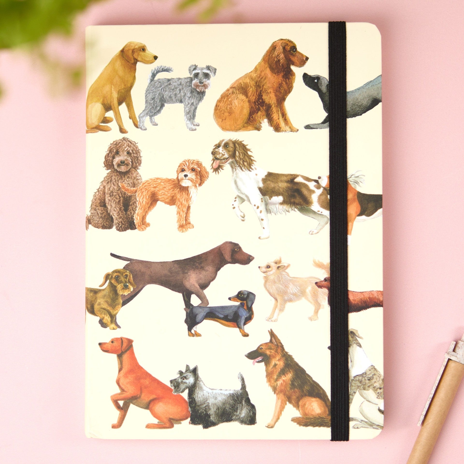 otter-house-emma-bridgewater-dogs-notizbuch-a5-175-seiten image 2