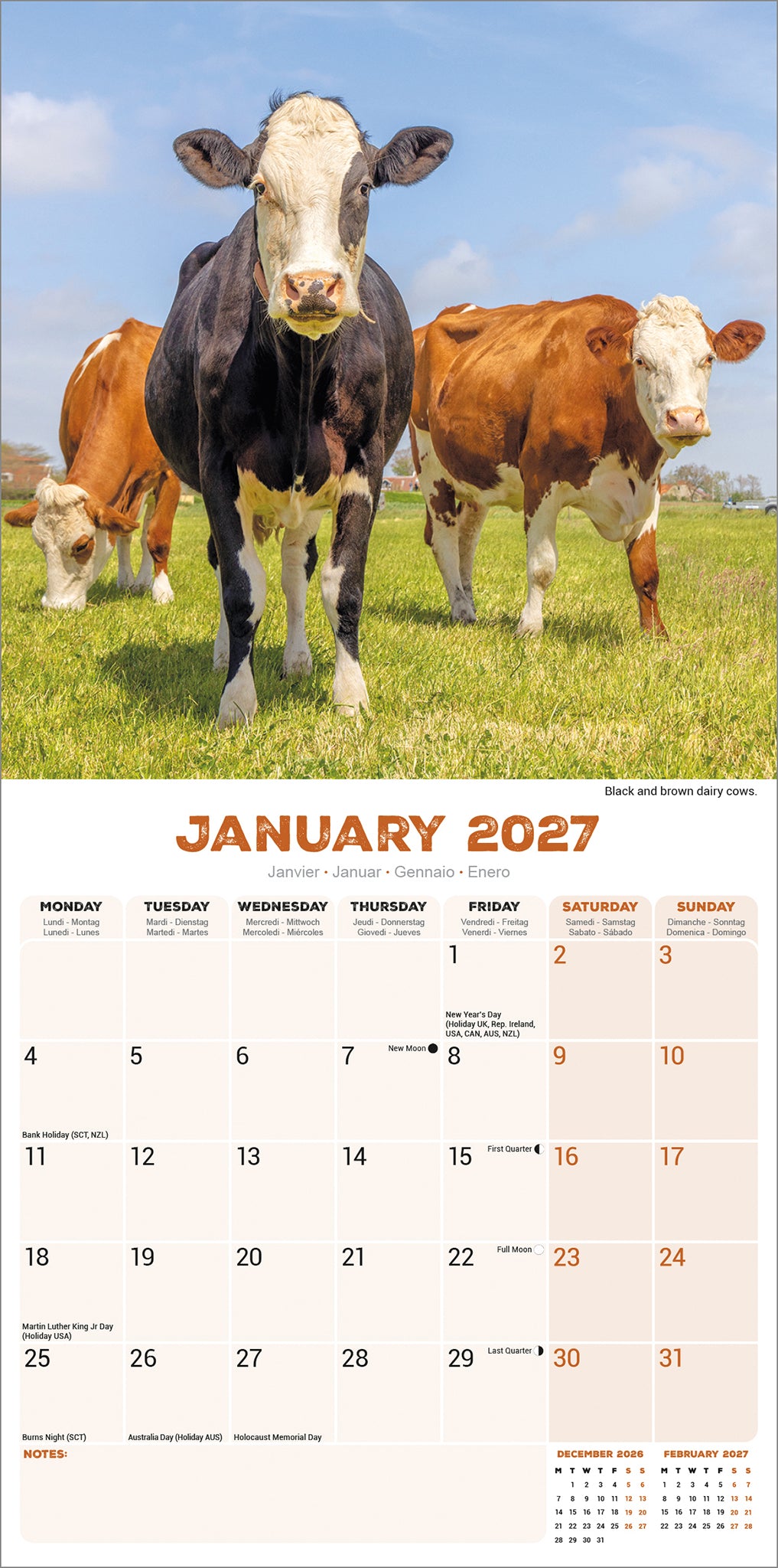 otter-house-cows-wall-calendar-2027-wandkalender-k-he image 3