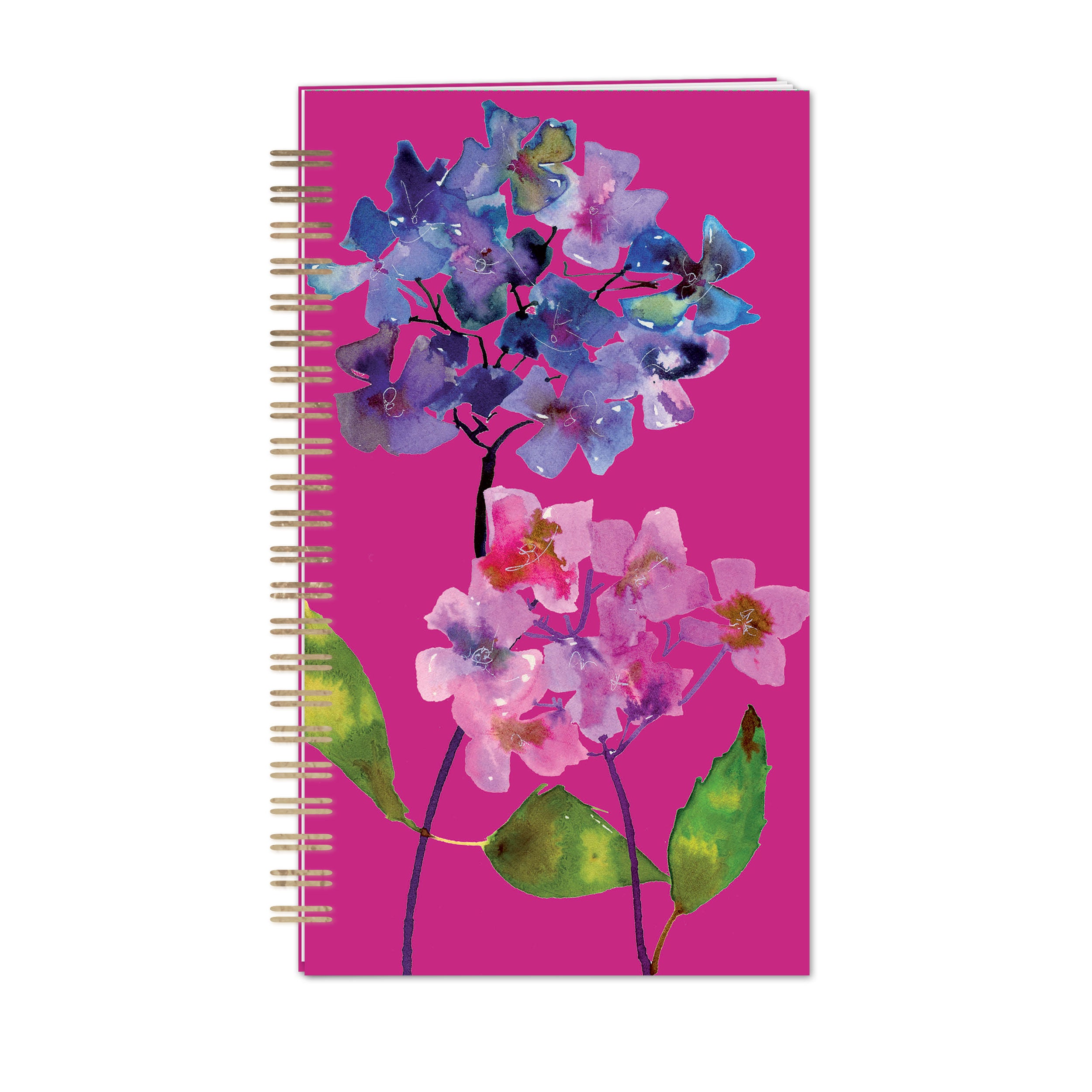 otter-house-watercolour-hydrangeas-passwortbuch-floral image 1