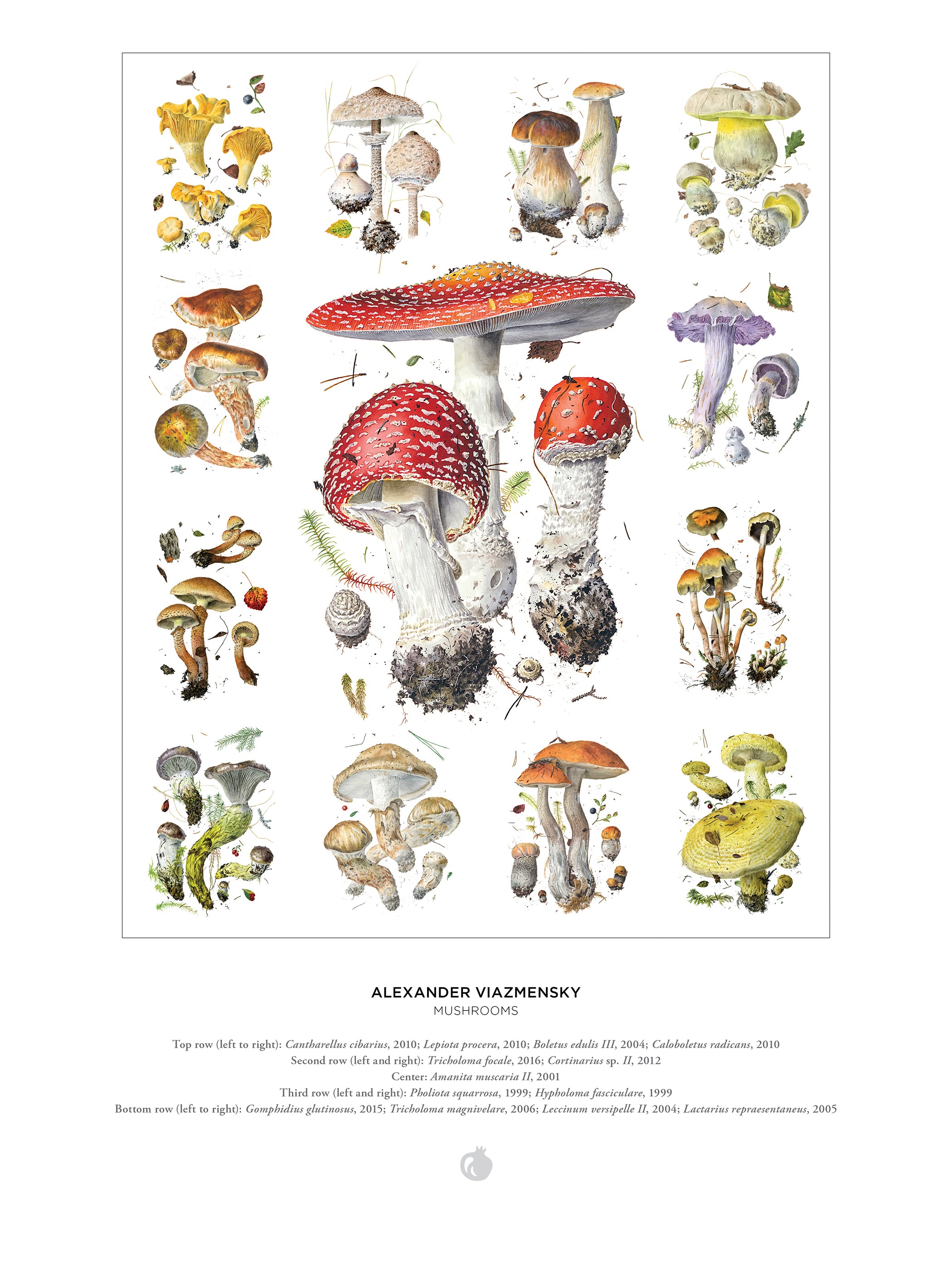 pomegranate-viazmensky-mushrooms-puzzle-1000-teile-pilze image 3