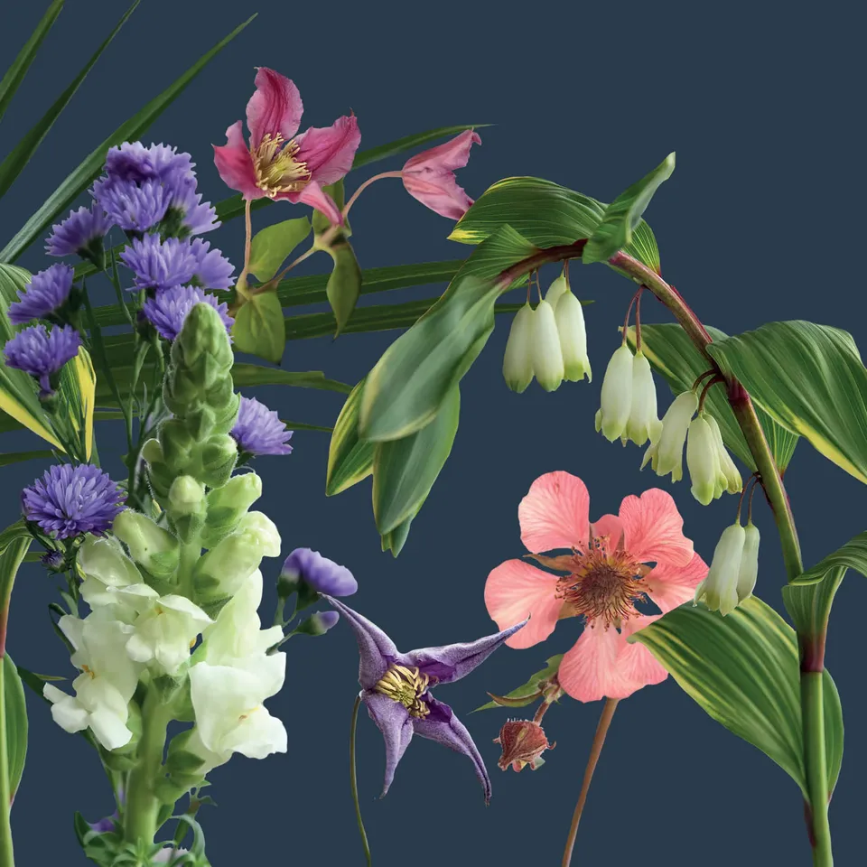 otter-house-alex-sharp-floral-live-life-grusskarte-blumen image 1