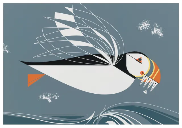 pomegranate-blank-notecards-charley-harper-puffin-klappkarte-einzeln image 1