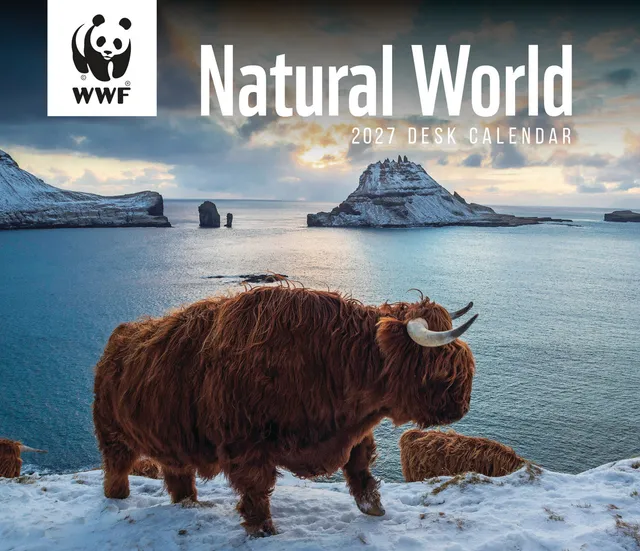 otter-house-natural-world-wwf-box-kalender-2027-tisch image 1
