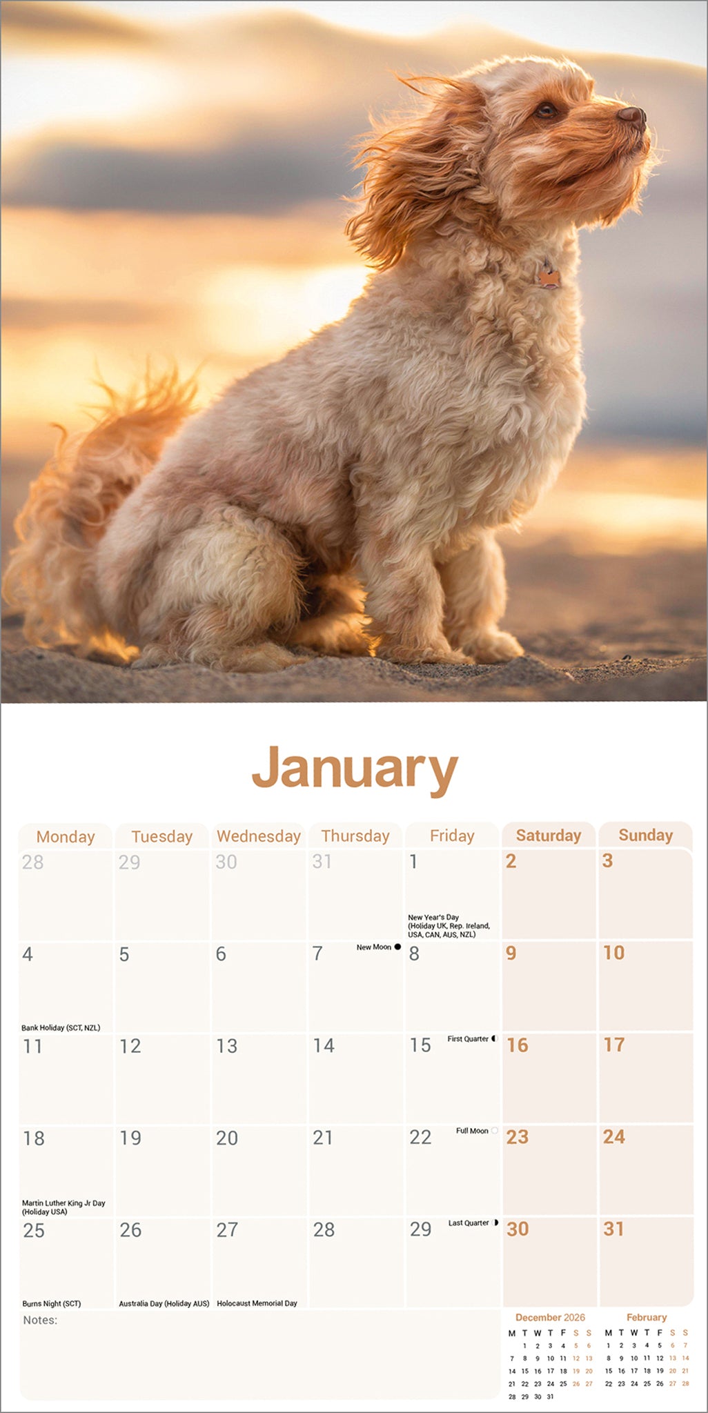 otter-house-cavapoo-wandkalender-2027-hunde image 3