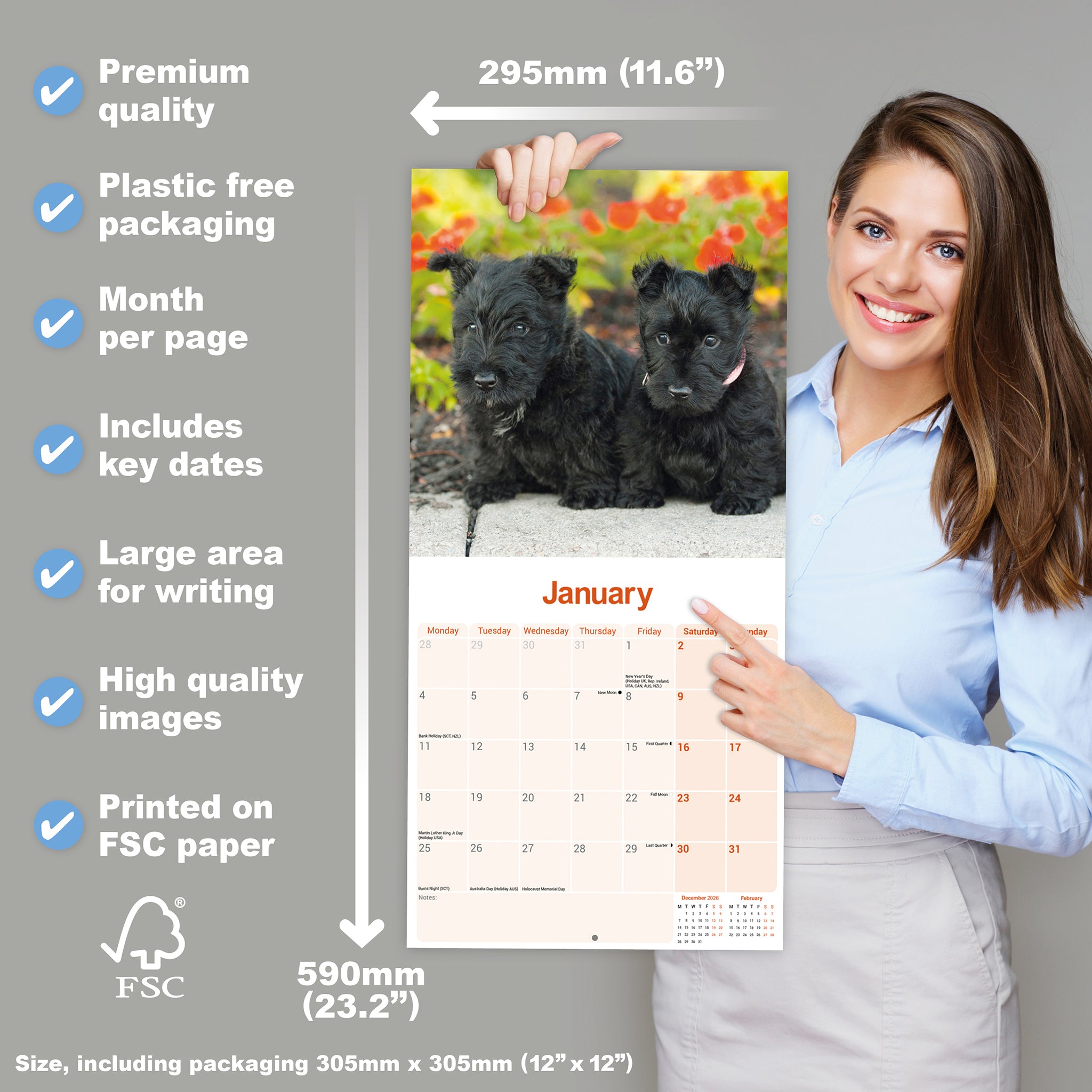 otter-house-scottish-terrier-wandkalender-2027-hunde image 4