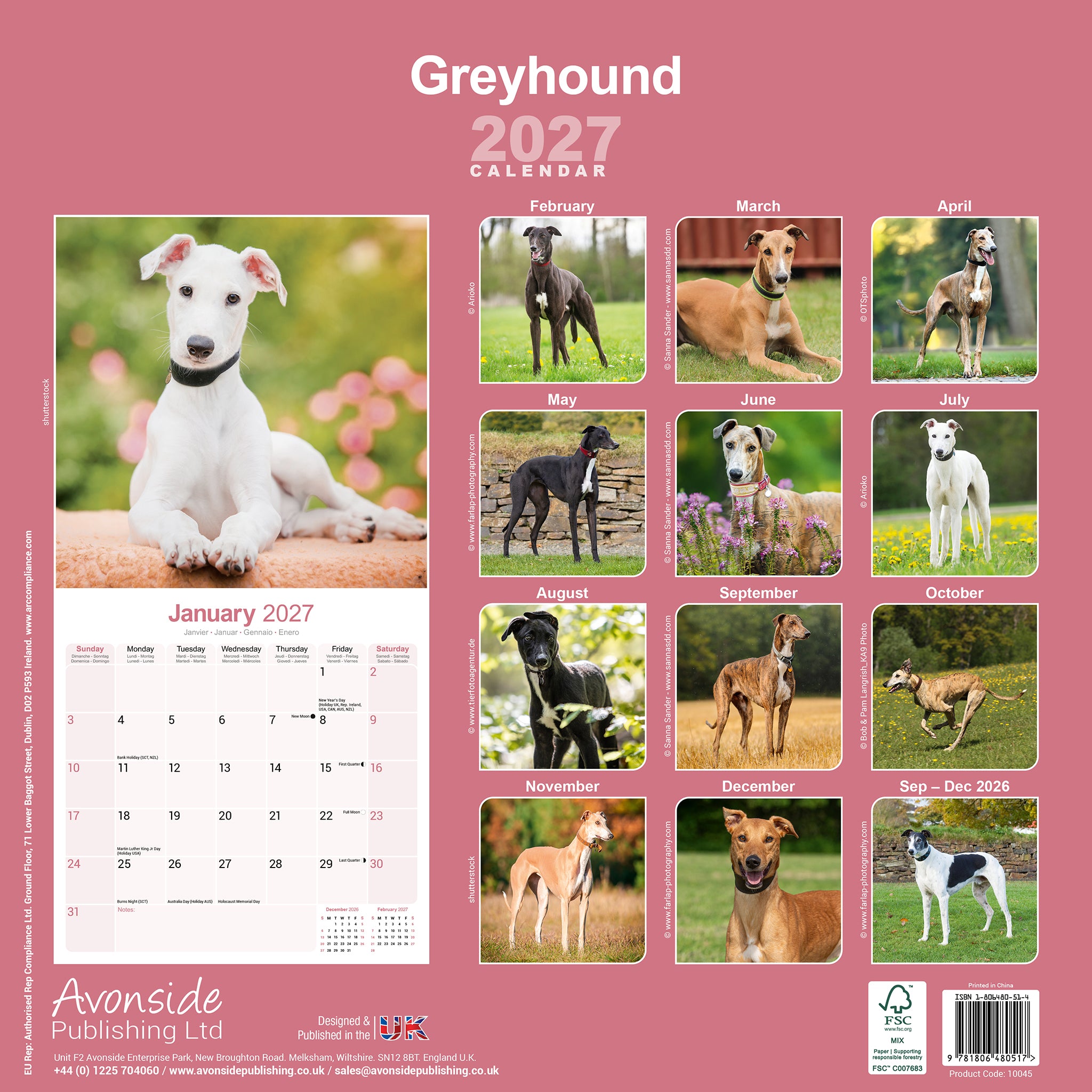 otter-house-greyhound-wandkalender-2027-hunde-kalender image 2