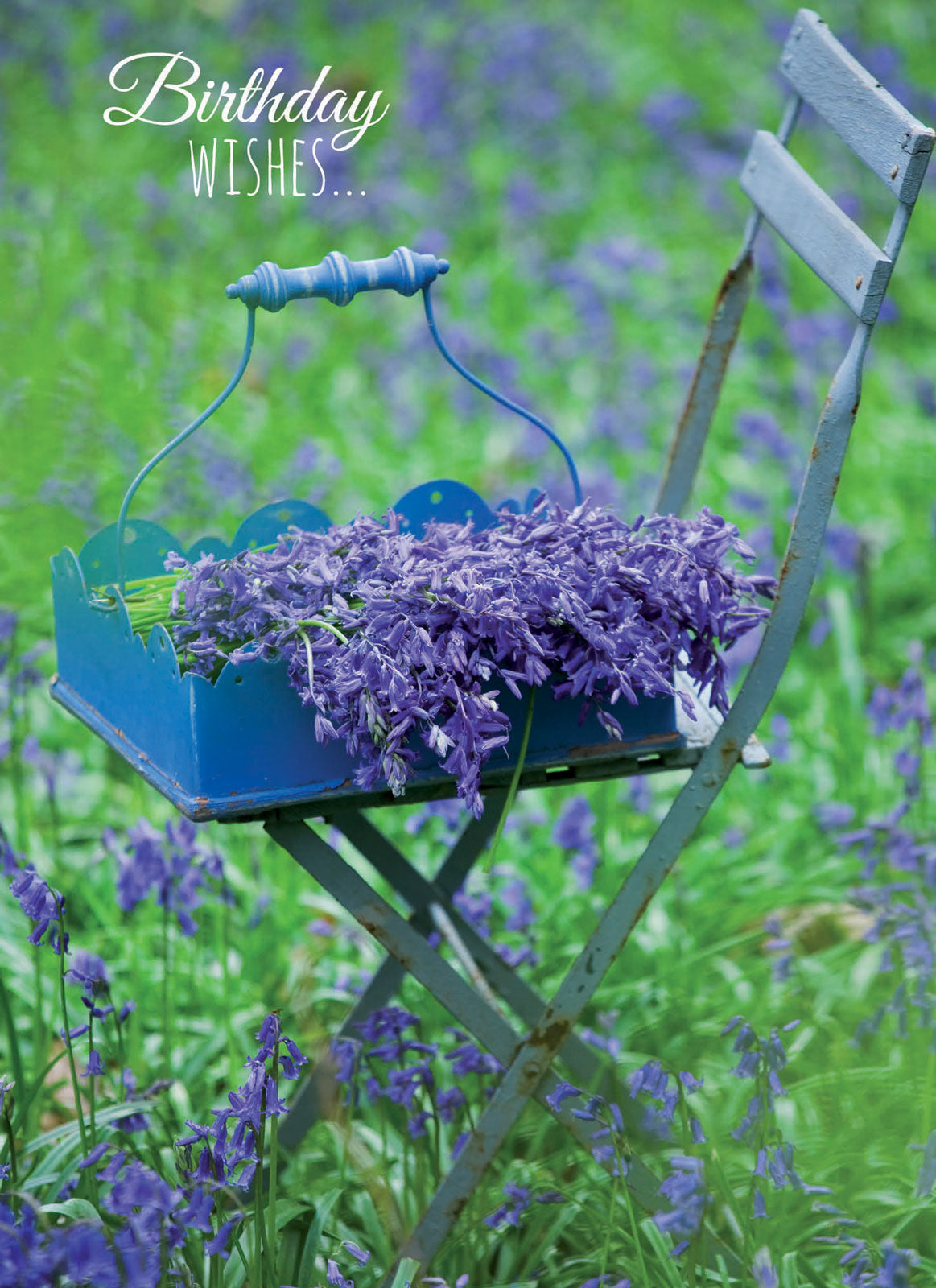 otter-house-bluebells-geburtstagskarte-blumen-stuhl image 1