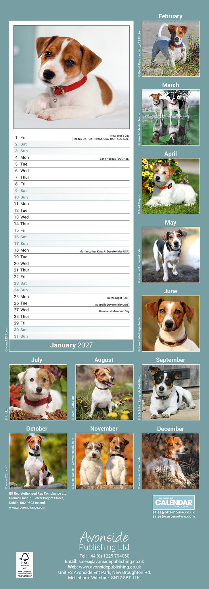 otter-house-jack-russell-slim-calendar-2027-wandkalender-hunde image 2