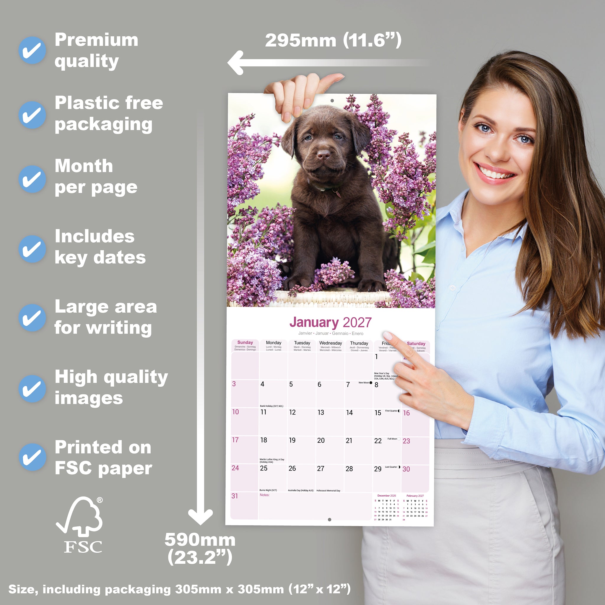 otter-house-labrador-wandkalender-2027-hunde-schoko image 4