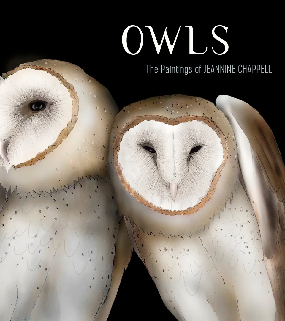 pomegranate-trade-books-owls-jeannine-chappell-eulenbuch image 1