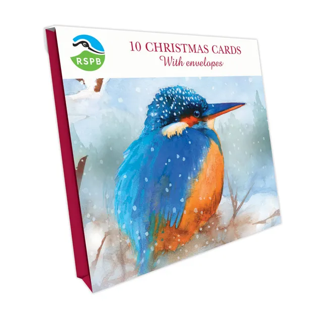 otter-house-rspb-kingfisher-in-snow-weihnachtskarte-10er-pack image 1
