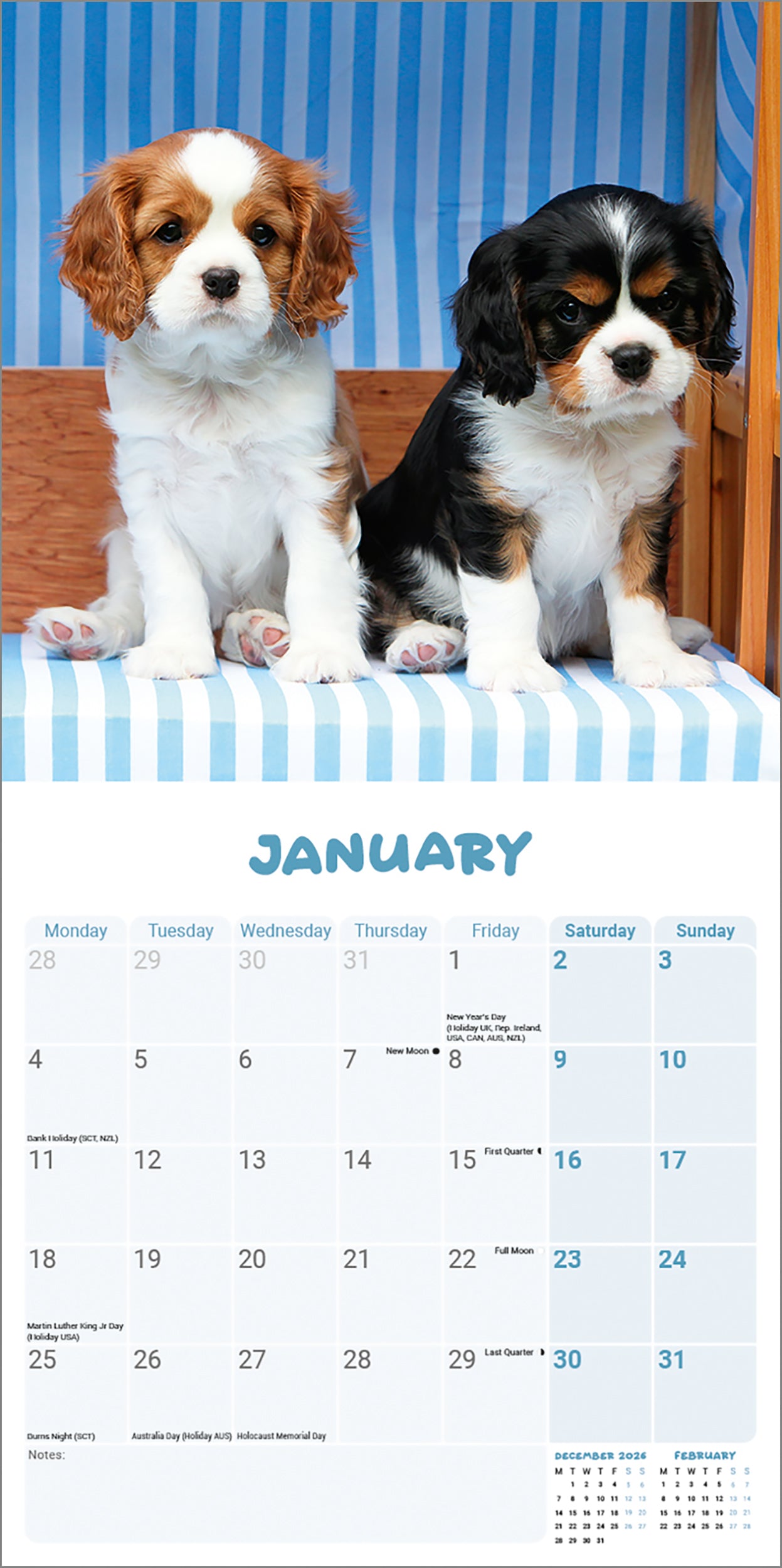 otter-house-mini-kalender-2027-cavalier-welpen-wandkalender-hunde image 3