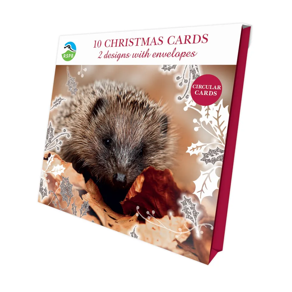 otter-house-christmas-hedgehog-hare-weihnachtskarte-10er-pack image 1