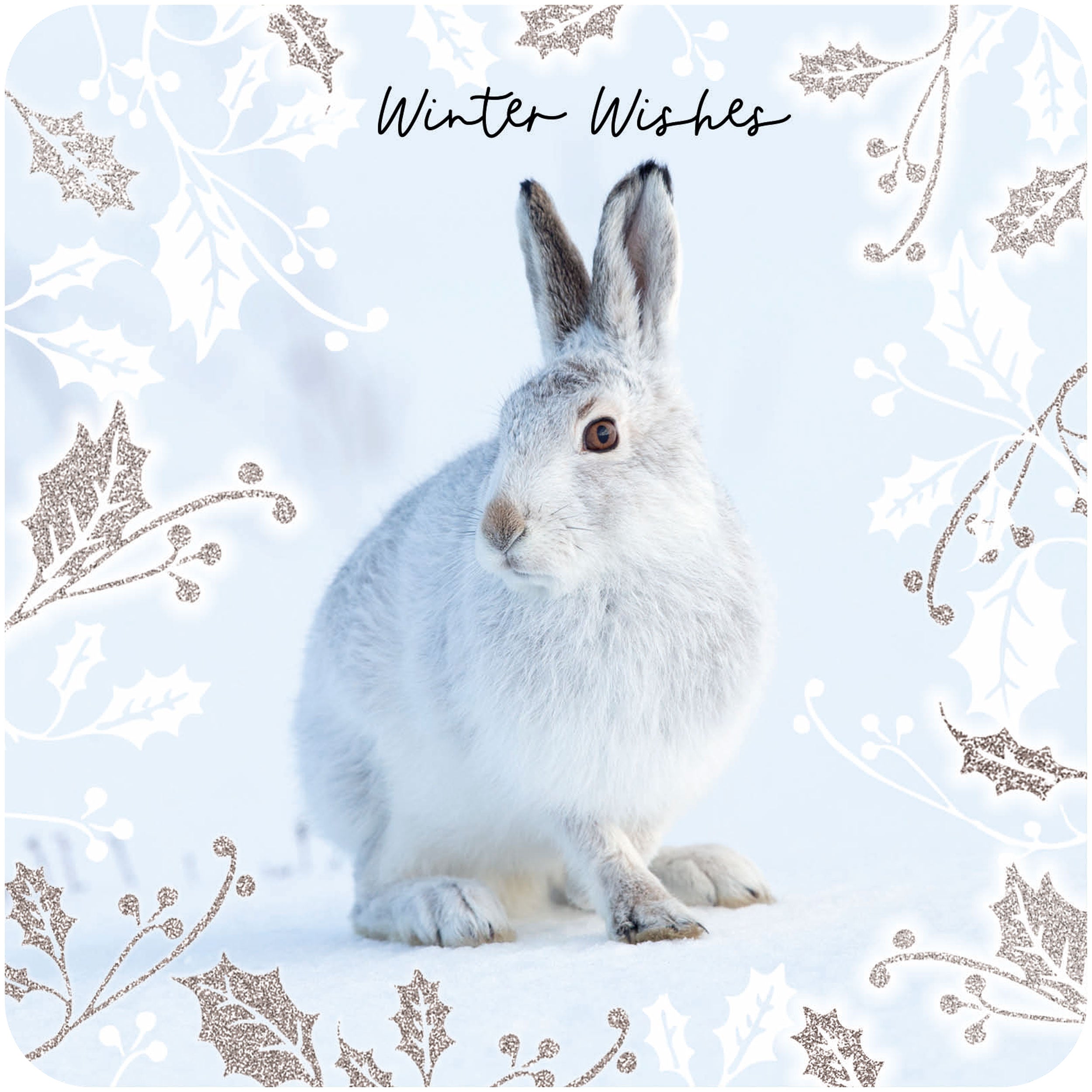 otter-house-rspb-winter-hares-weihnachtskarten-10-st-ck image 2