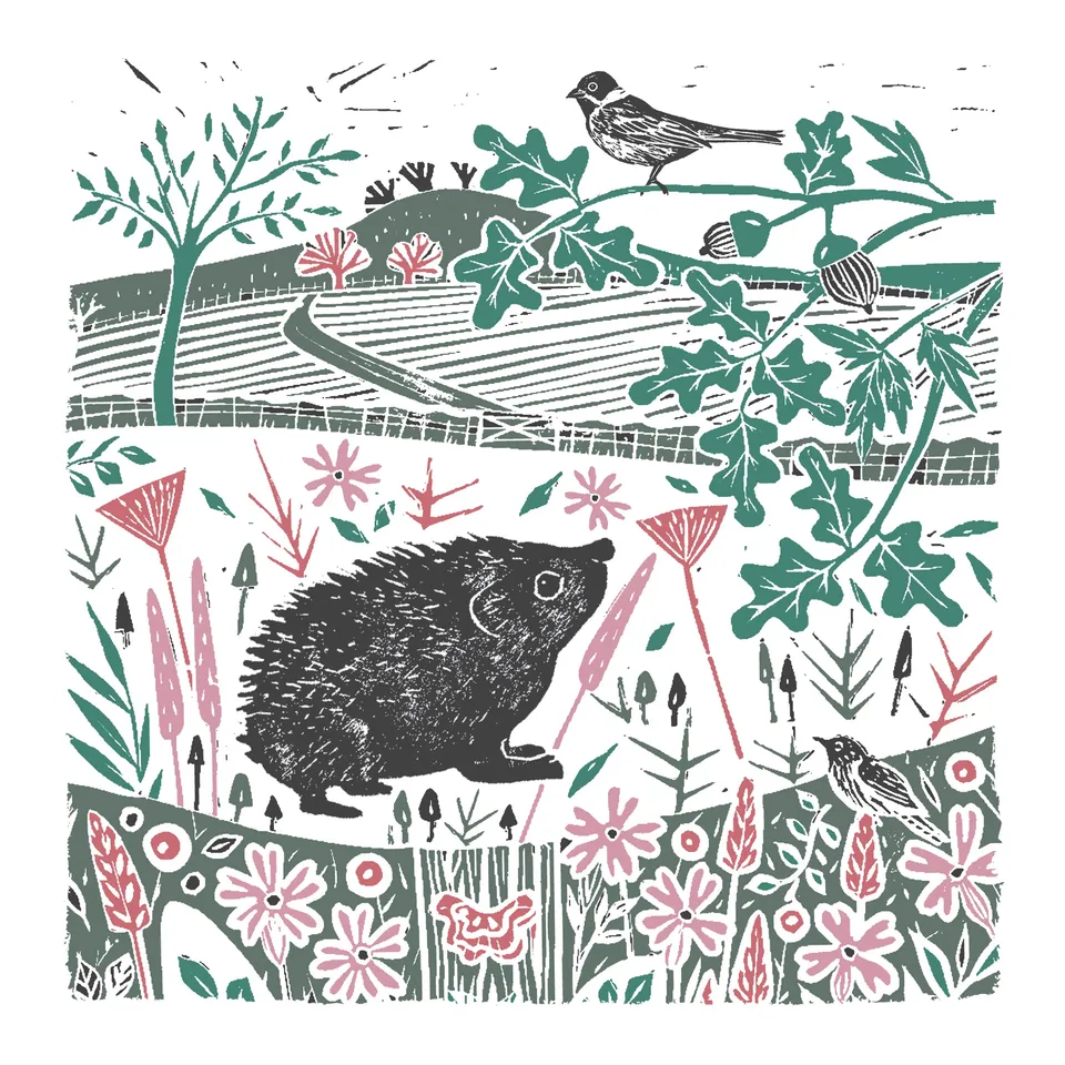 otter-house-rspb-gru-karte-hedgehog-bird-igel-vogel image 1