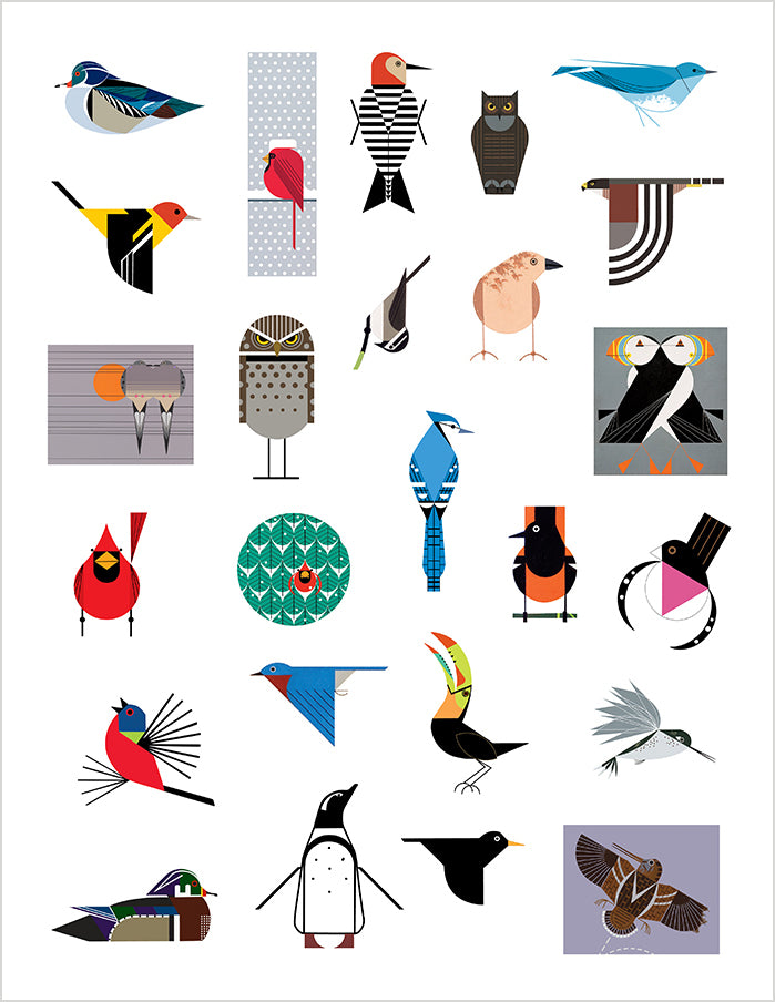 pomegranate-charley-harper-birds-stickerbuch-v-gel-50-motive image 3