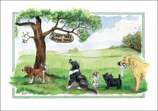 otter-house-alisons-animals-grusskarte-150x210mm image 1
