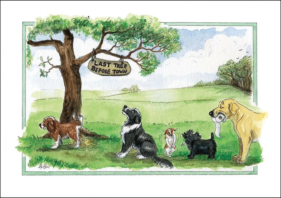 otter-house-alisons-animals-grusskarte-150x210mm image 1