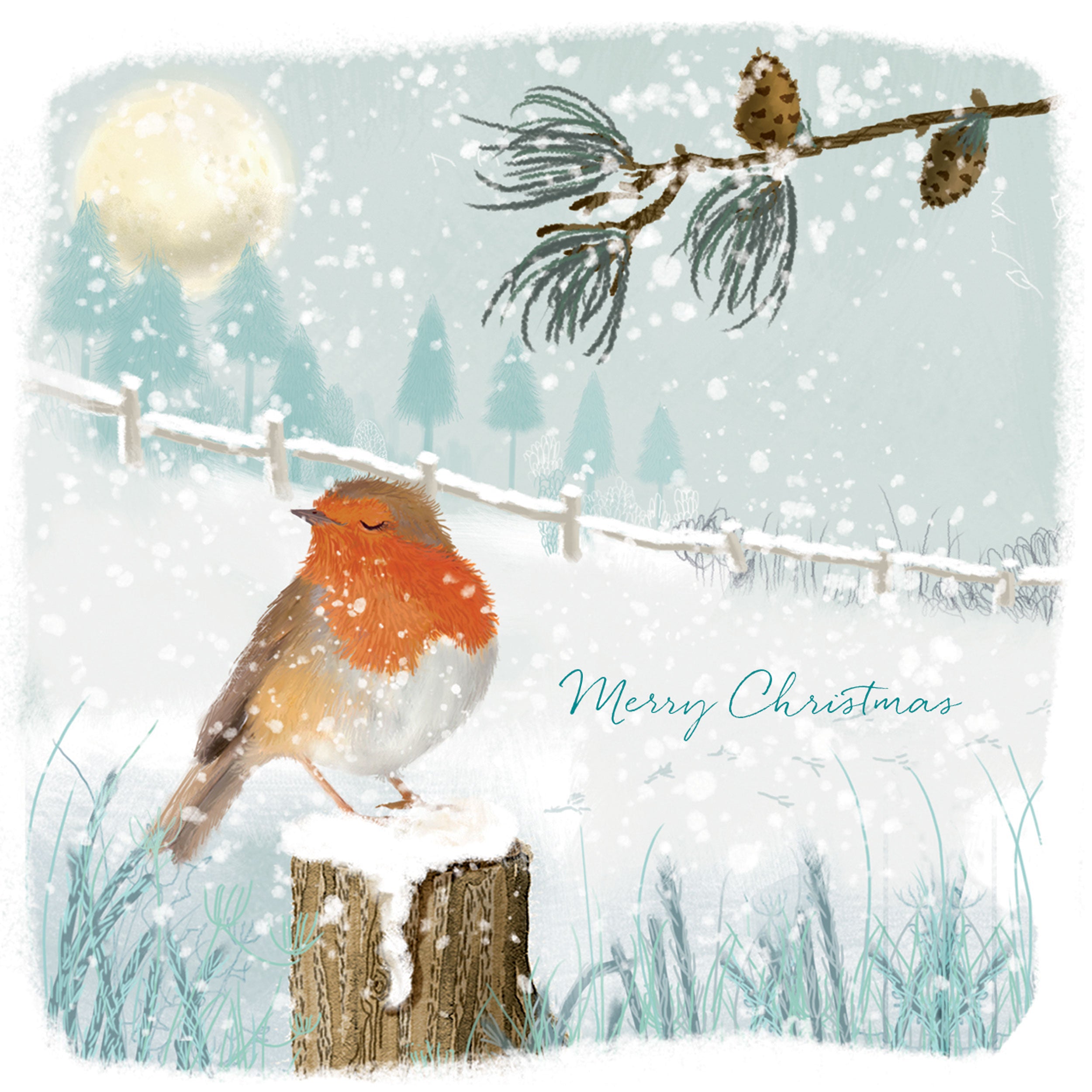 otter-house-robin-in-snow-weihnachtskarten-charity-pack image 1