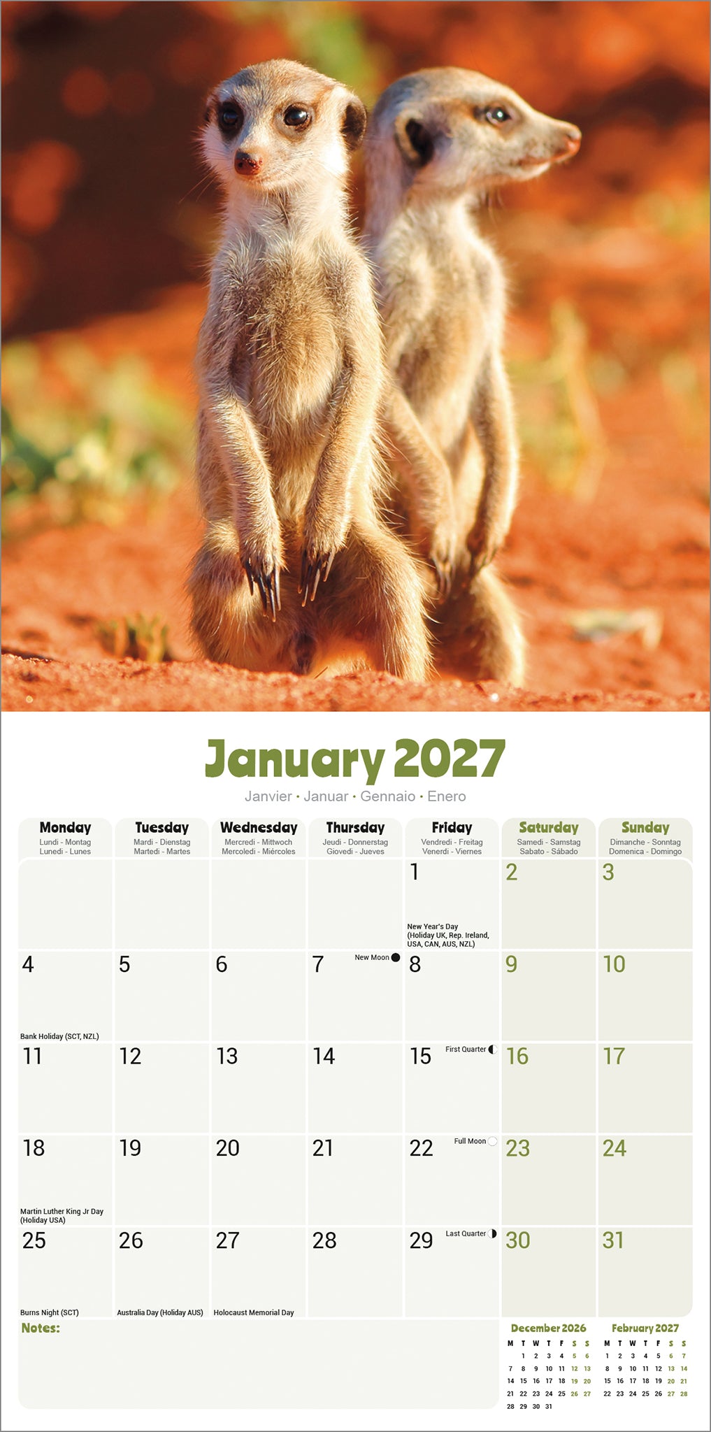otter-house-meerkats-wandkalender-2027-erdm-nnchen image 3