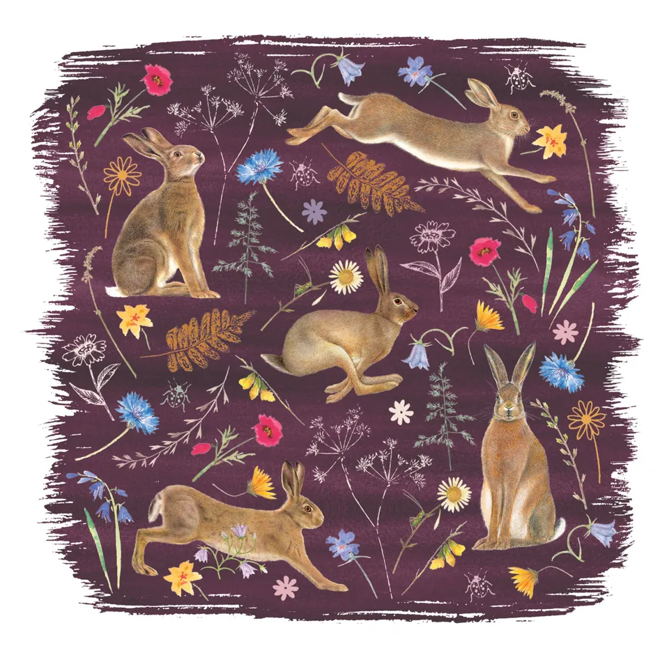 otter-house-greetings-cards-hares-in-the-meadow-gru-karte-hase image 1