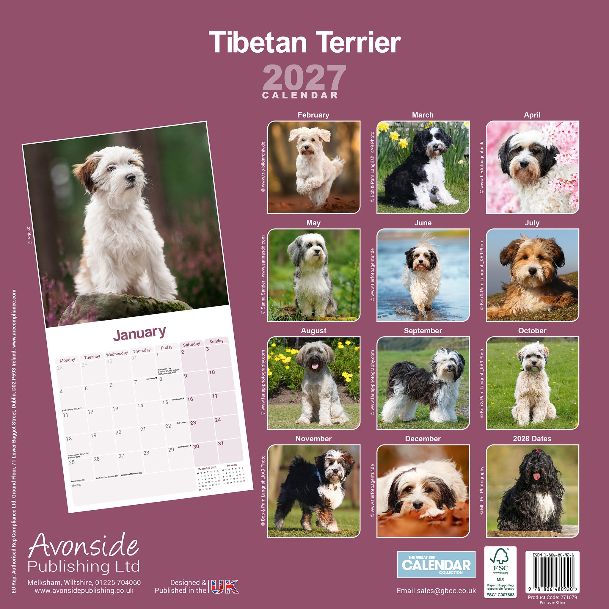 otter-house-tibetan-terrier-wandkalender-2027-hunde image 2