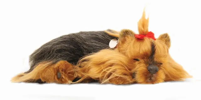 otter-house-precious-petzzz-yorkshire-terrier-pl-schtier-mit-bett image 1