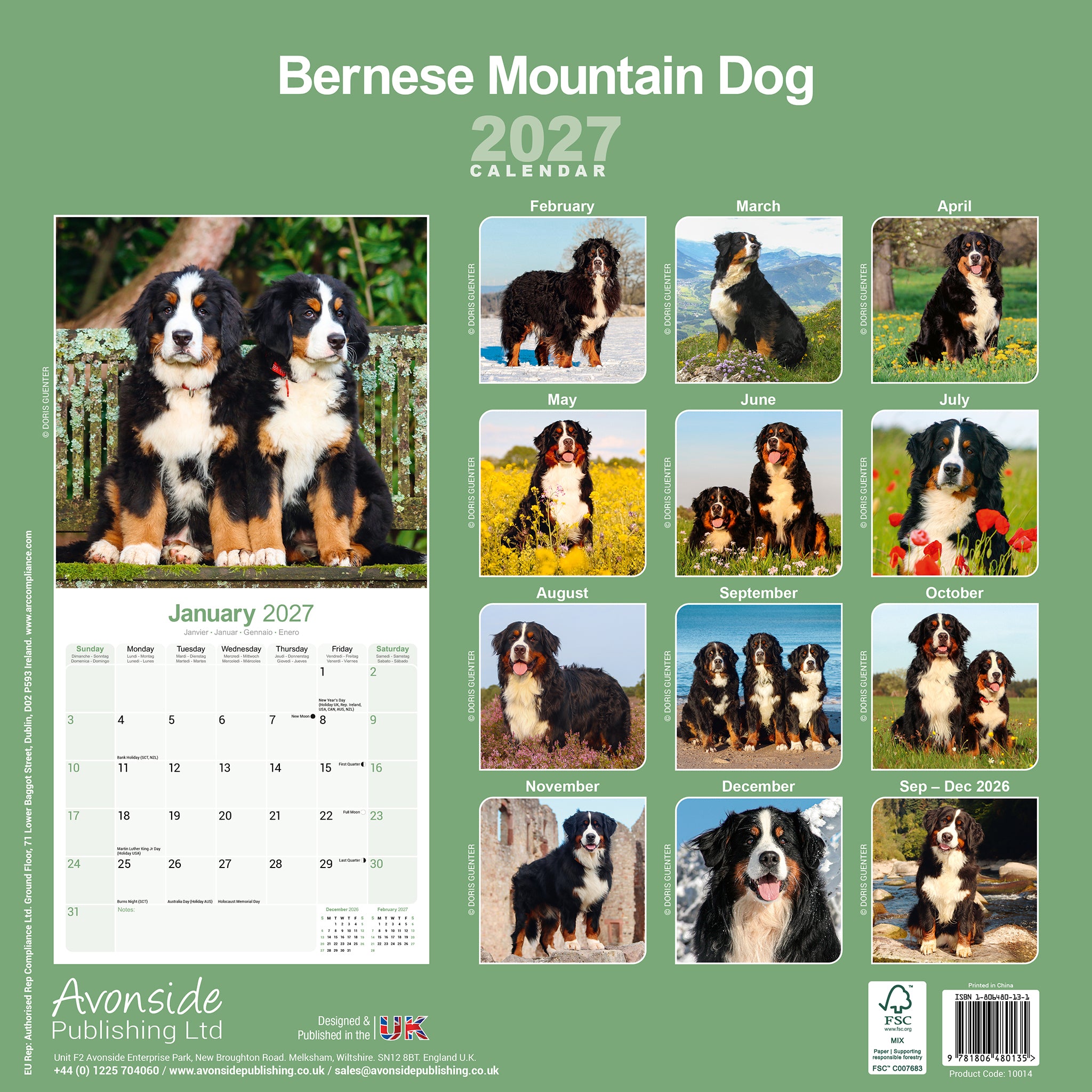 otter-house-berner-sennenhund-wandkalender-2027-hunde image 2