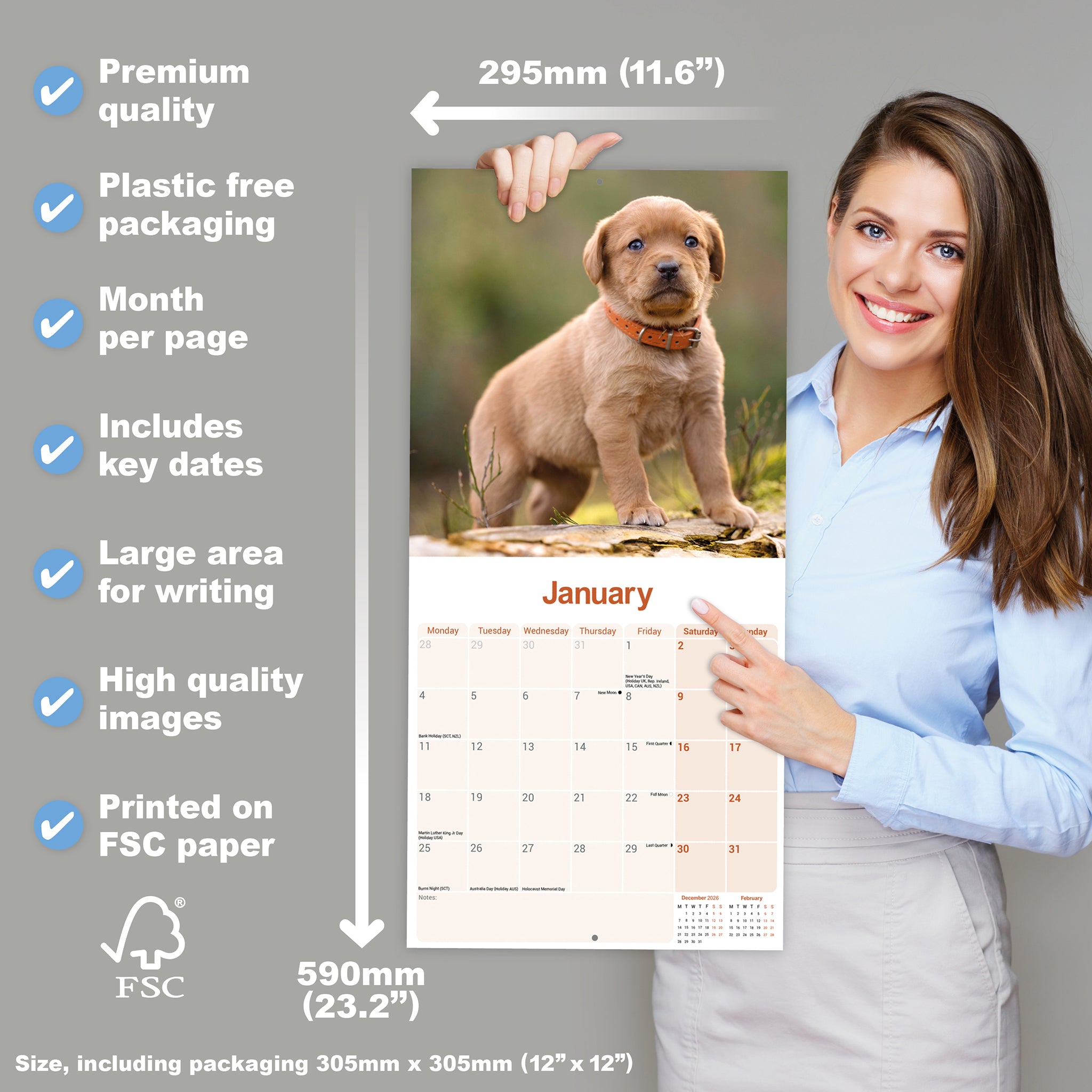 otter-house-labrador-retriever-fox-red-wandkalender-2027-hund image 4
