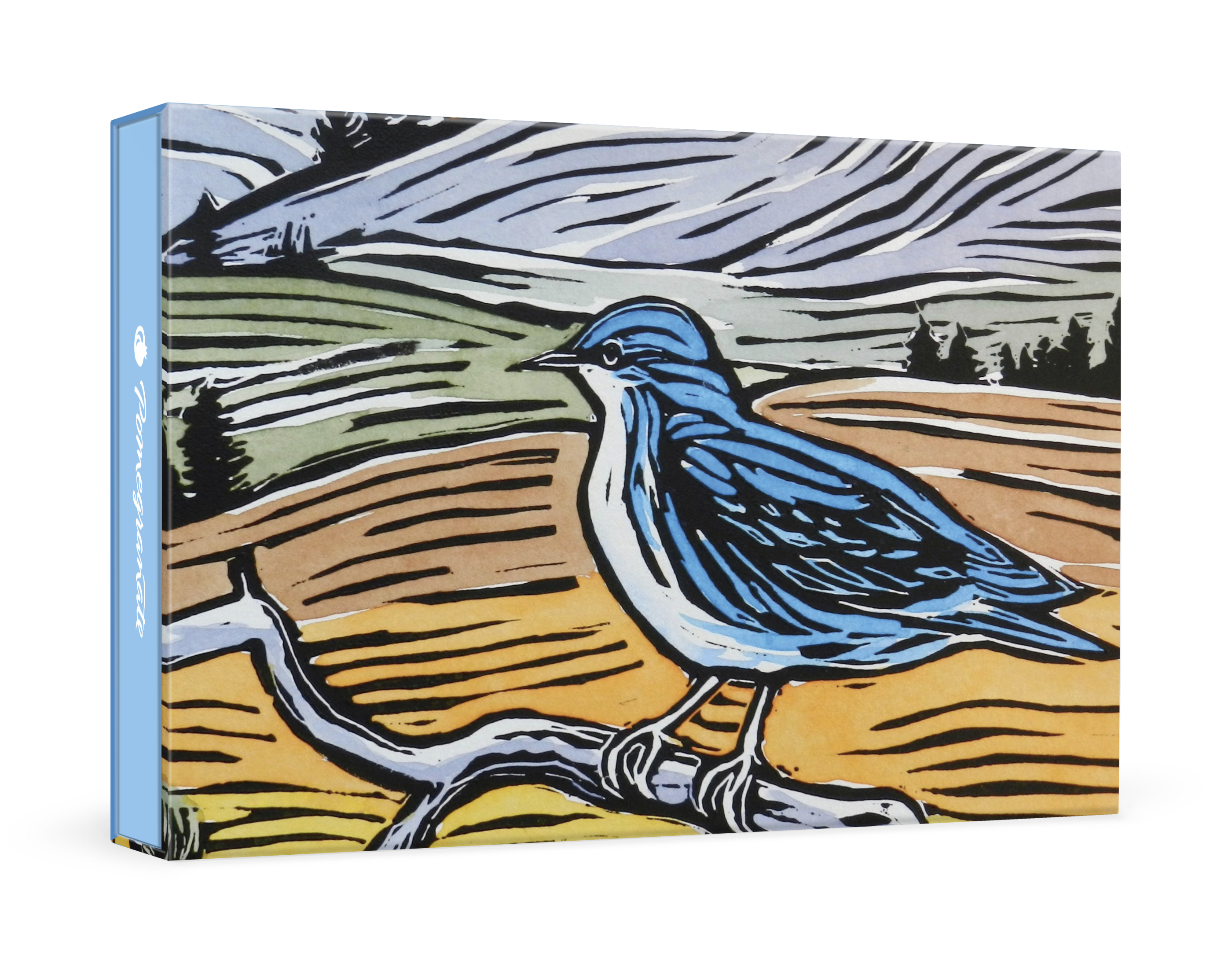 pomegranate-boxed-molly-hashimoto-mountain-bluebird-kartenbox image 1
