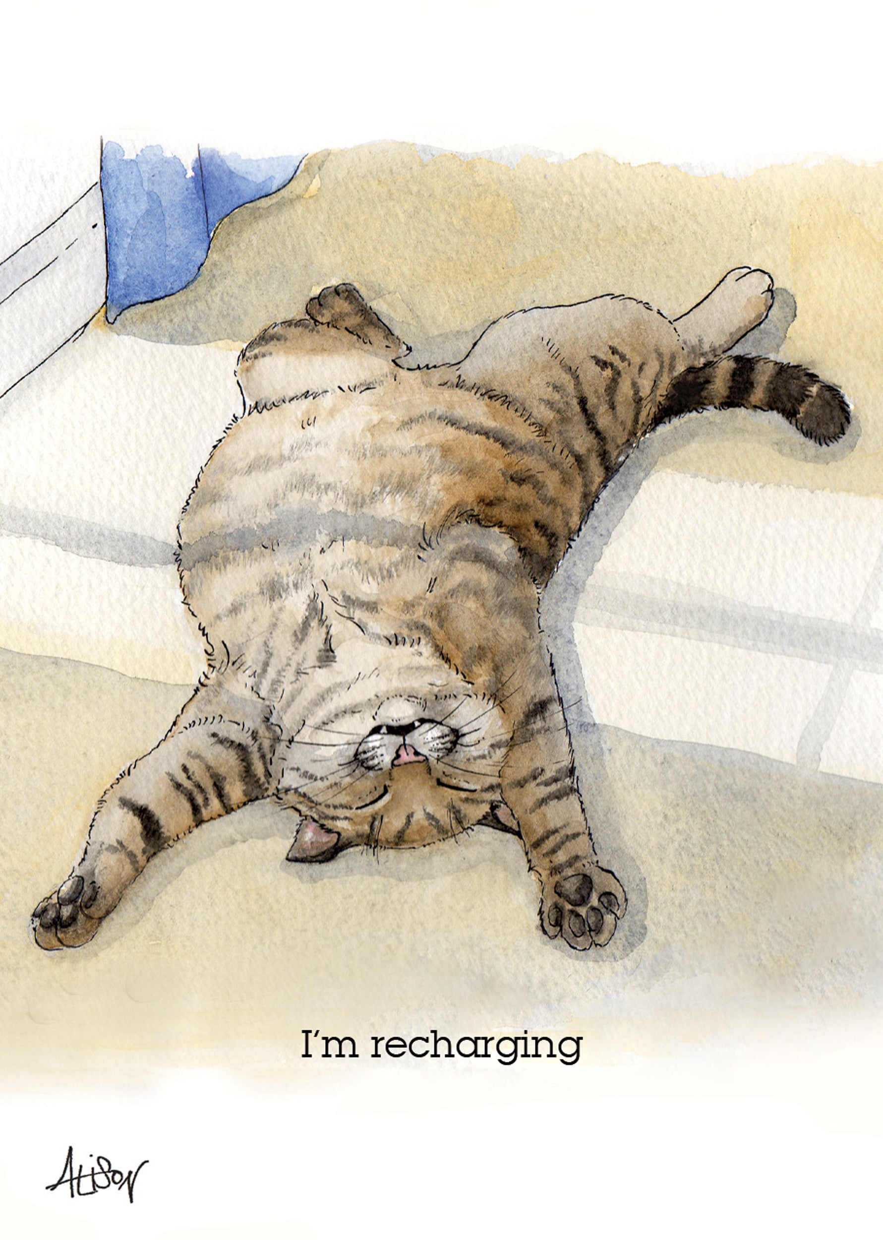 otter-house-alison-s-animals-mini-karten-6er-katze-recharging image 2