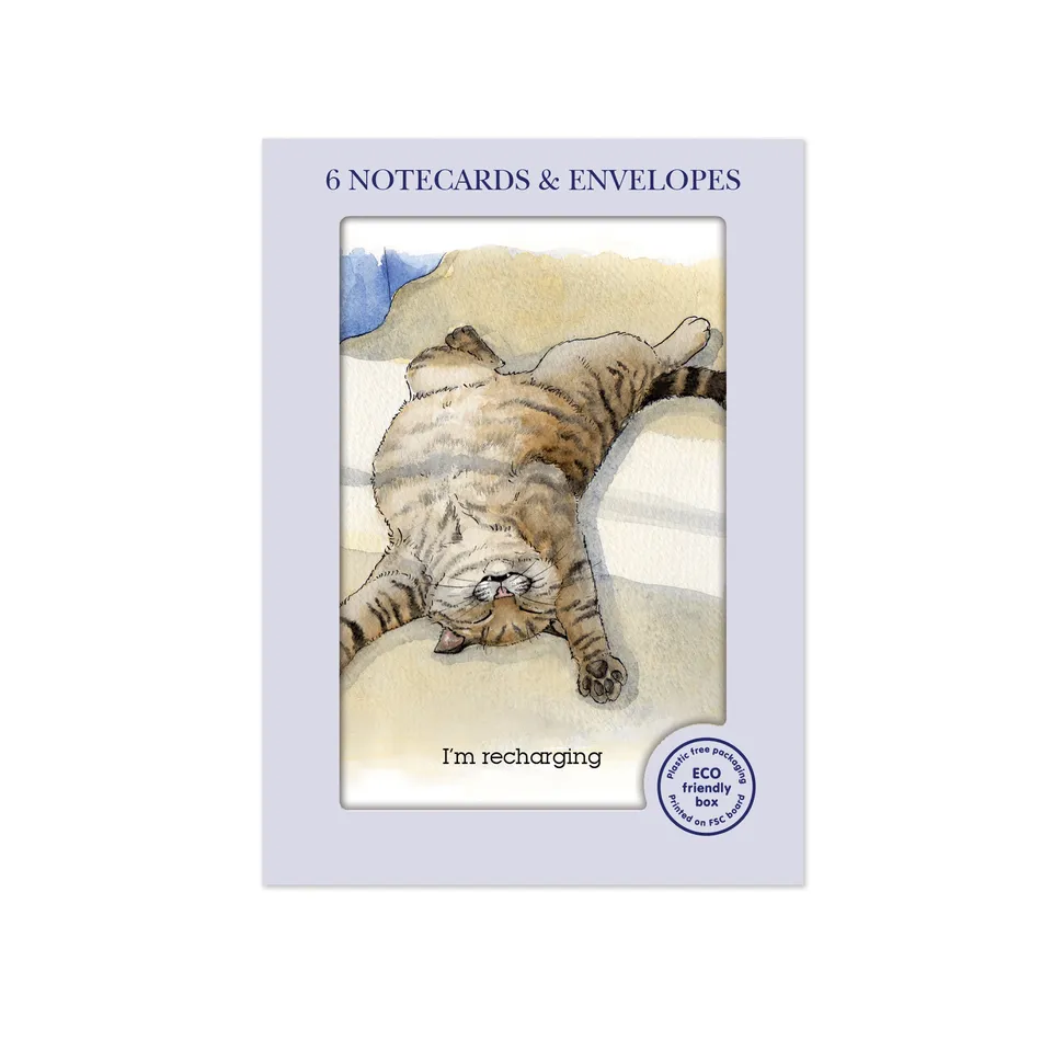 otter-house-alison-s-animals-mini-karten-6er-katze-recharging image 1