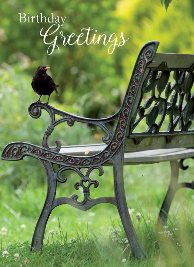 otter-house-blackbird-on-bench-geburtstagskarte-floral-amsel image 1