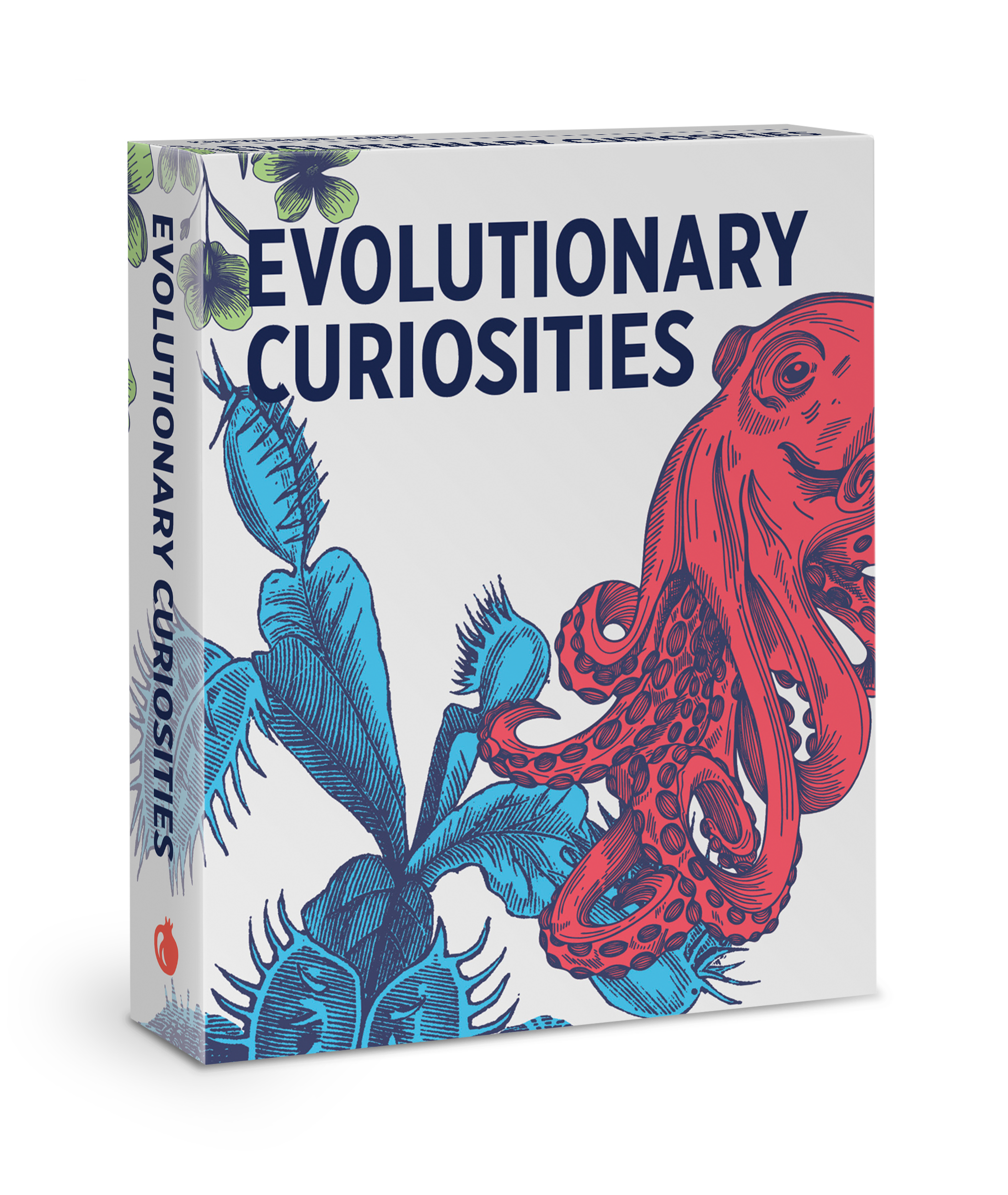 pomegranate-knowledge-cards-evolutionary-curiosities-lernkarten-evolution image 1