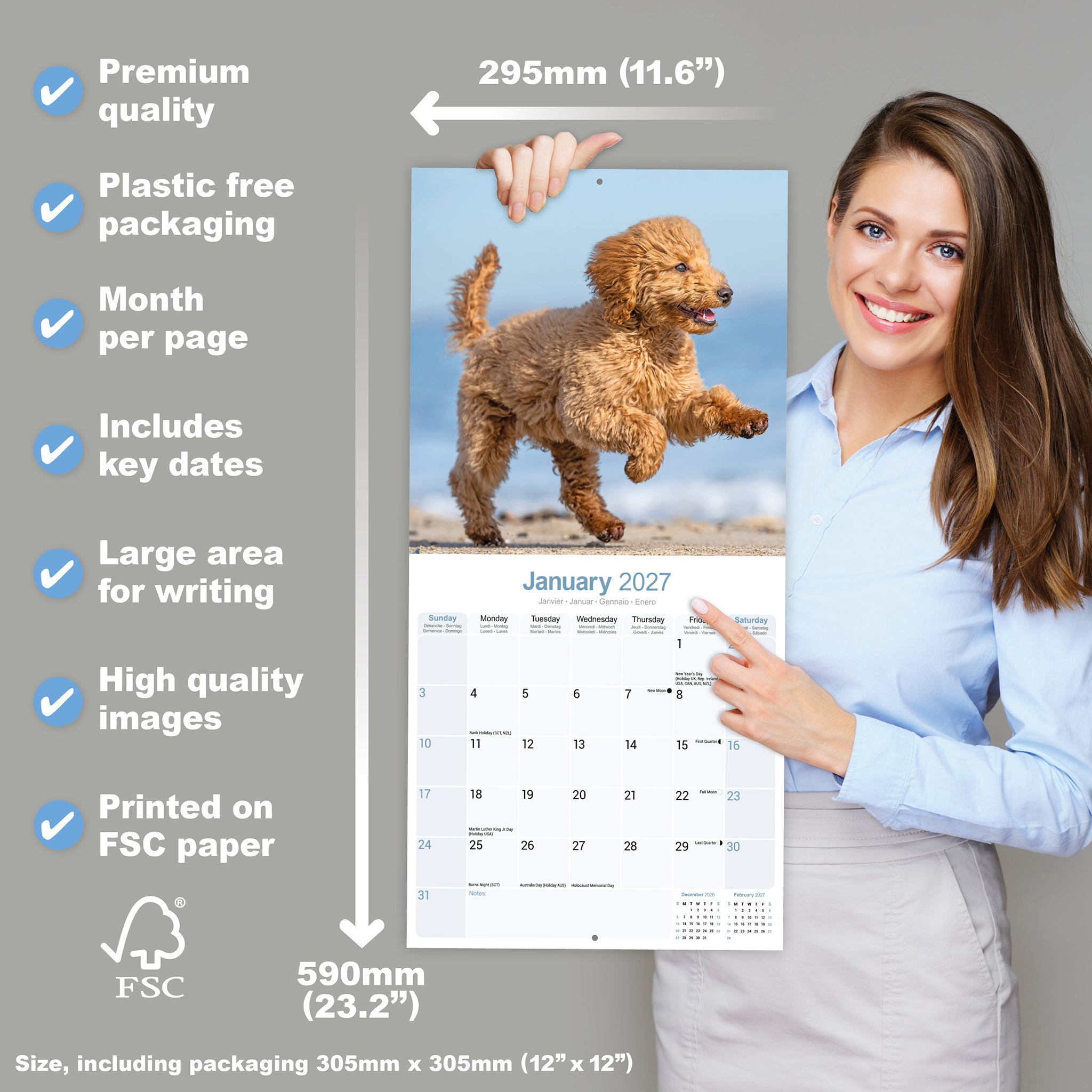 otter-house-poodle-wall-calendar-2027-wandkalender-pudel image 4