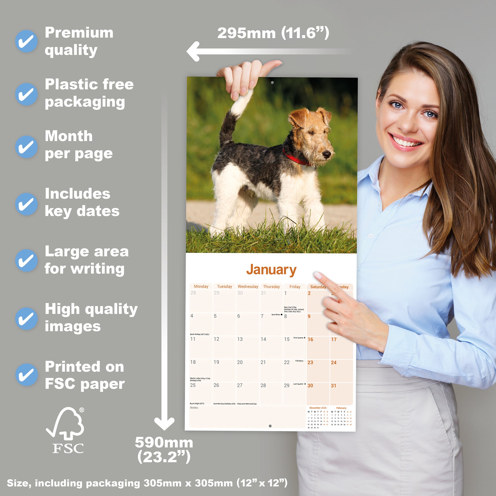 otter-house-fox-terrier-wirehaired-wandkalender-2027-hunde image 4