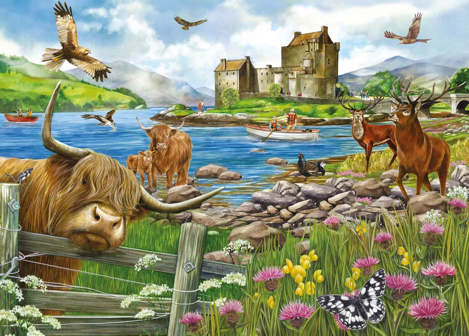 otter-house-the-highlands-1000-teile-puzzle-schottland image 1