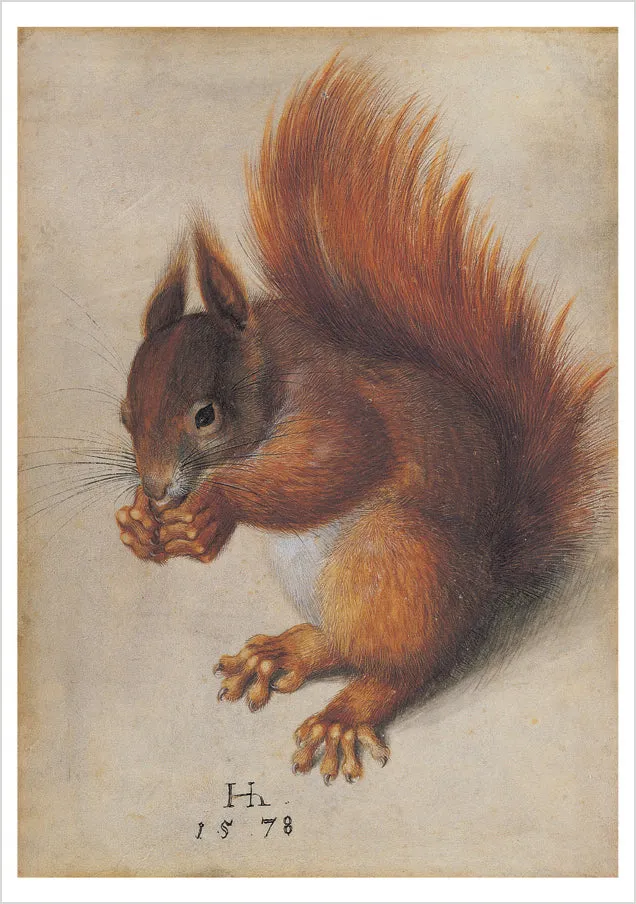 pomegranate-blank-notecards-hoffmann-red-squirrel-gru-karte-eichh-rnchen image 1