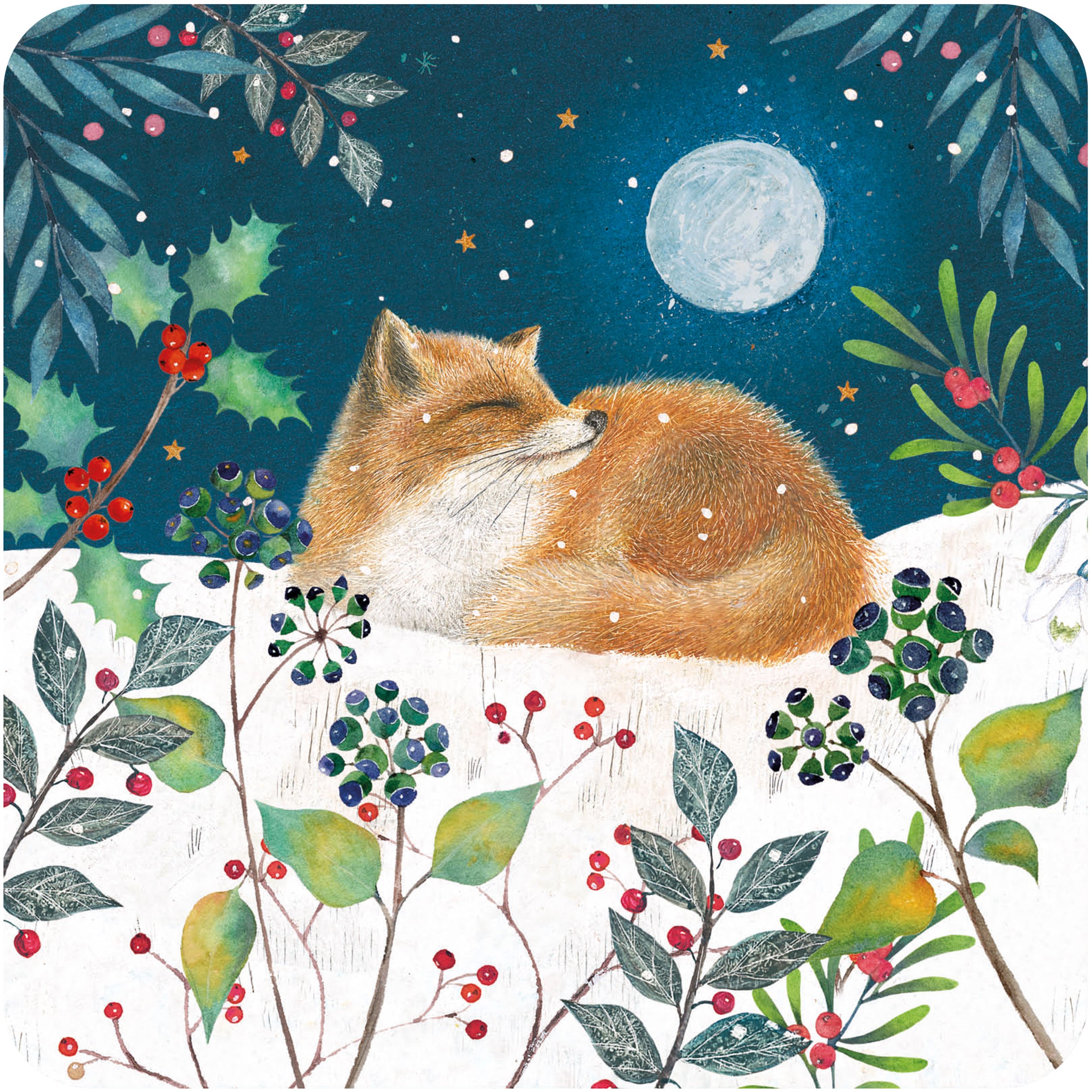 otter-house-rspb-weihnachtskarte-fuchs-eichh-rnchen-10er image 1