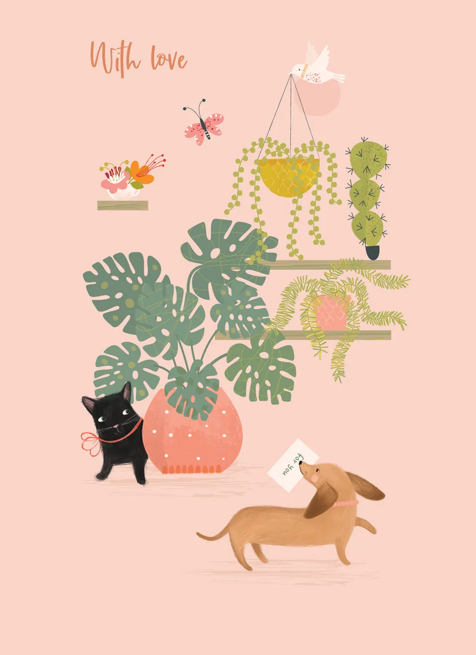olive-wilma-indoor-plants-gru-karte-zimmerpflanzen image 1