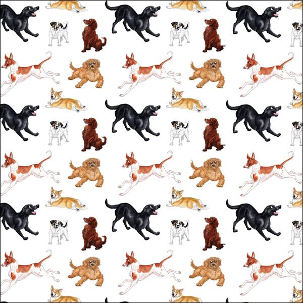 splimple-alison-s-animals-geschenkpapier-hund-motiv image 1