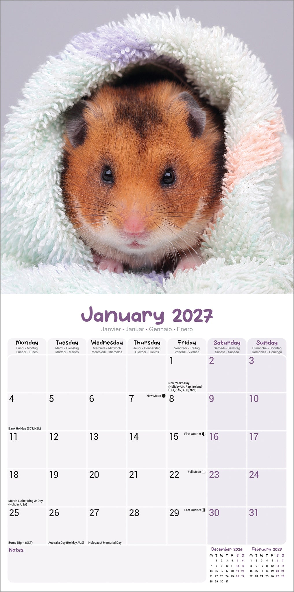 otter-house-hamsters-wandkalender-2027-tiere-hamster image 3