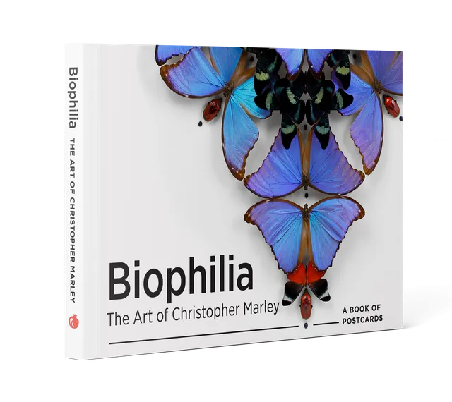 pomegranate-biophilia-postkarten-buch-christopher-marley-tiere image 1