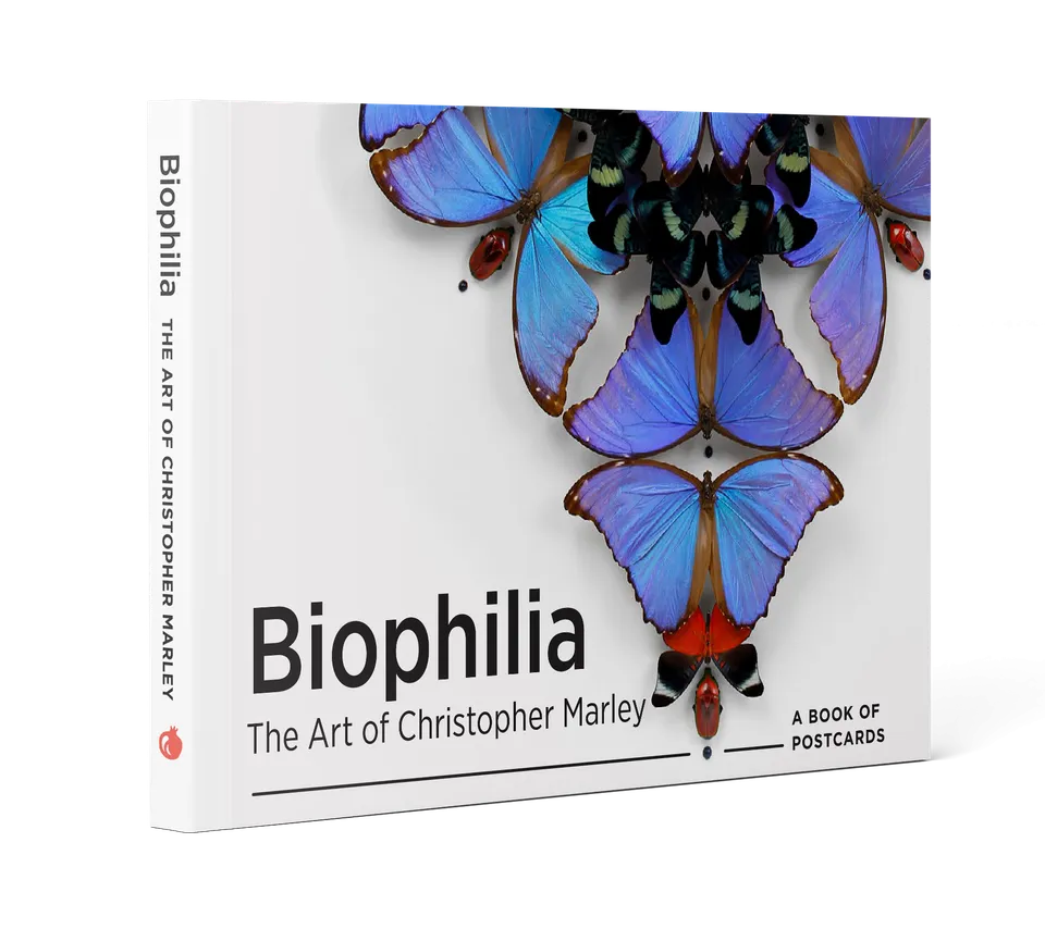 pomegranate-biophilia-postkarten-buch-christopher-marley-tiere image 1