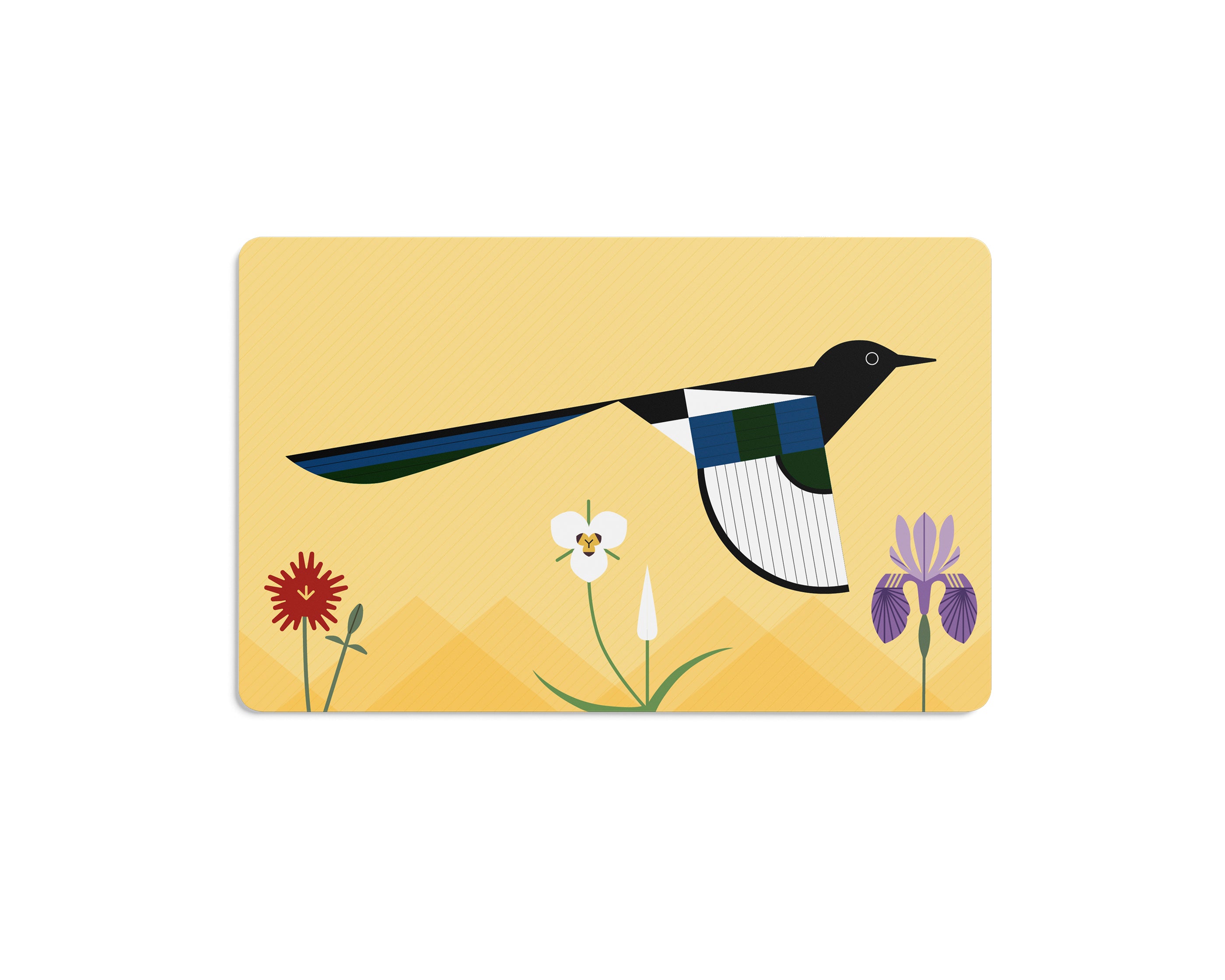 pomegranate-activity-books-charley-harper-i-am-wild-flash-cards-50-tiere image 4