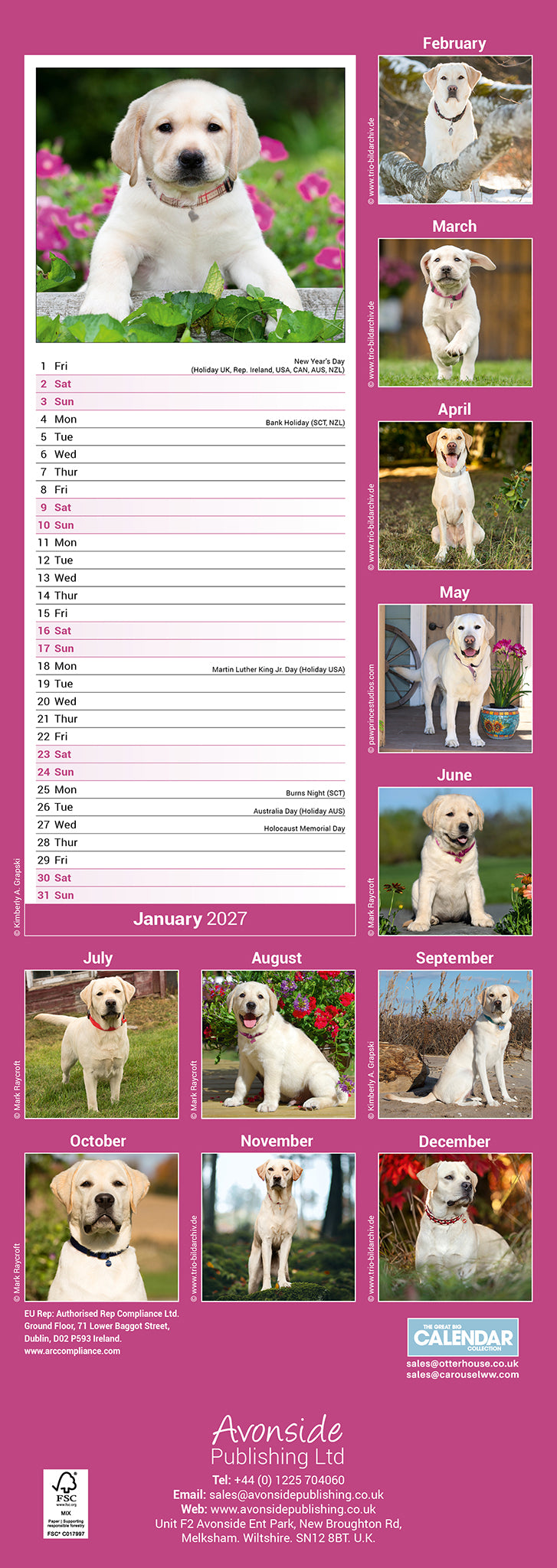 otter-house-labrador-retriever-slim-kalender-2027-hund image 2