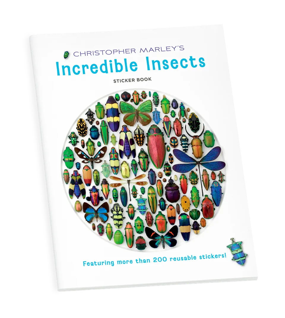 pomegranate-incredible-insects-stickerbuch-insekten-christopher-marley image 1