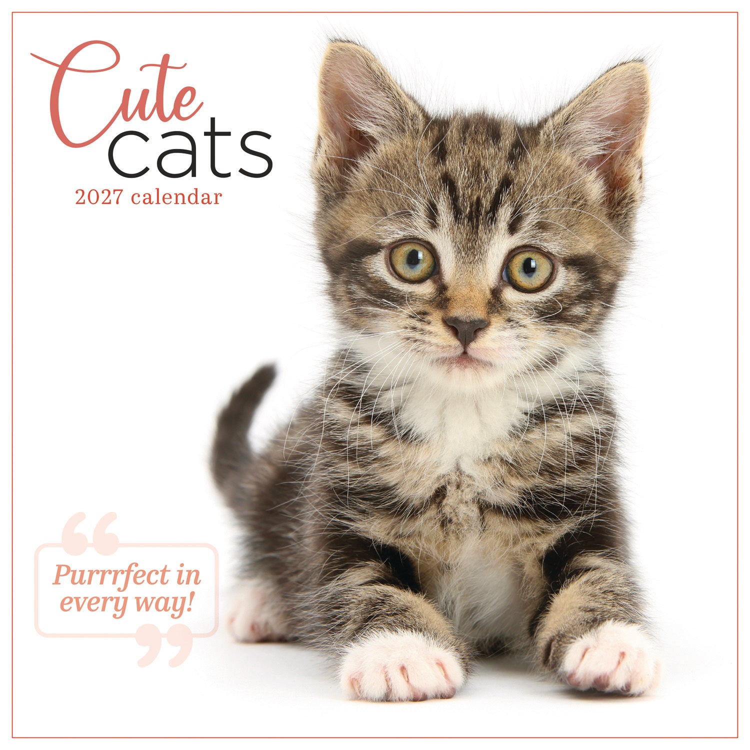 otter-house-cute-cats-wandkalender-2027-katzenbilder image 1
